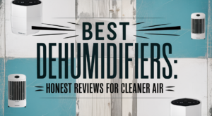 Best Dehumidifiers