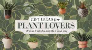 Gift Ideas for Plant Lovers